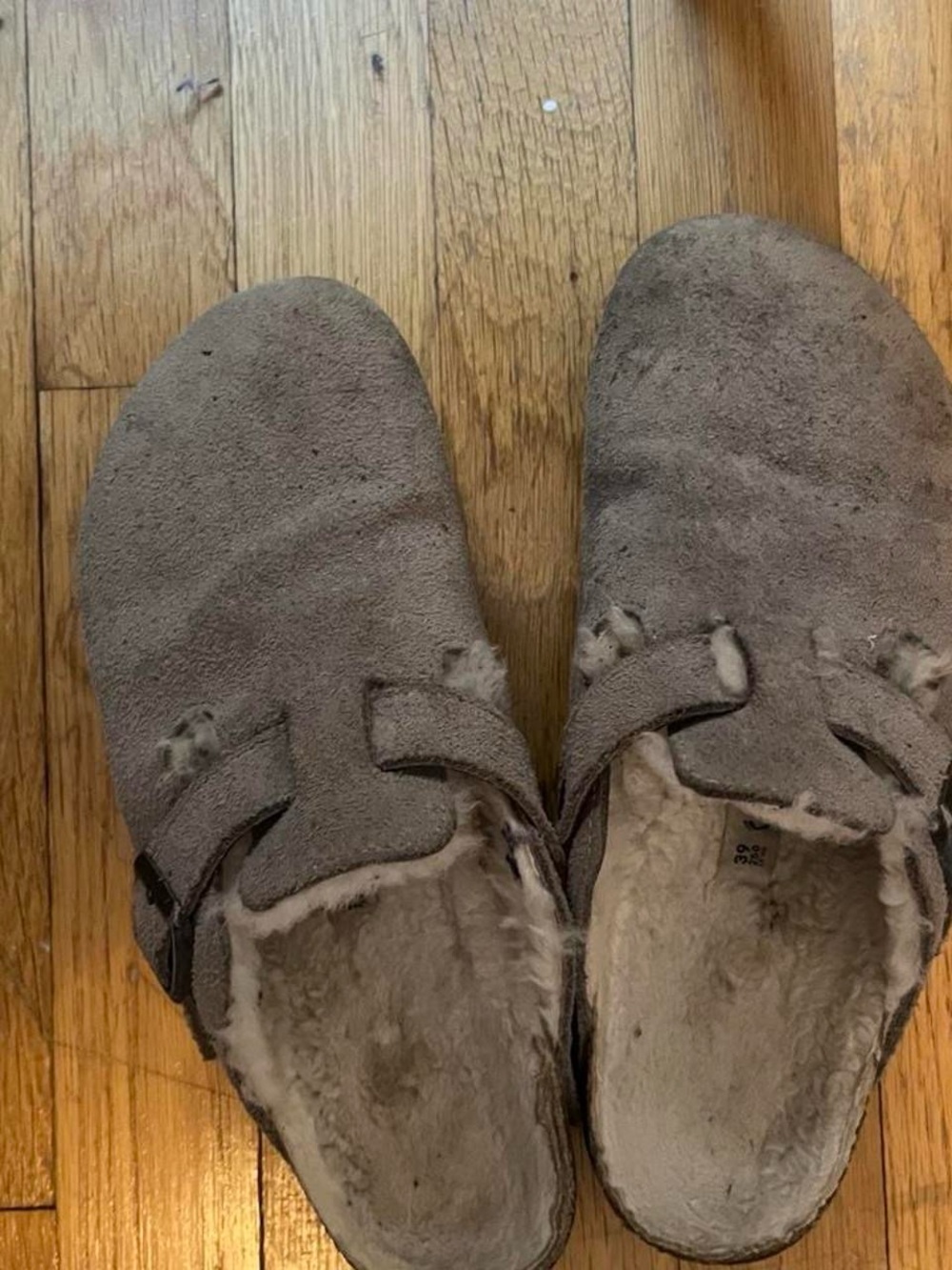 Birkenstock Suede Shearling Lined Mules in Taupe